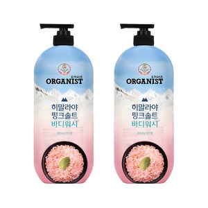 오가니스트 히말라야 핑크솔트 풍성한 거품 산뜻한 바디워시 민트향, 900g, 2개