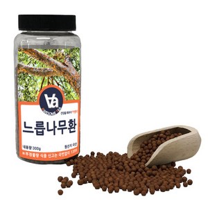 어썸티 국산 왕느릅나무환 (왕느릅나무껍질환), 300g, 1개