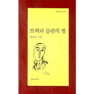 트랙과 들판의 별:황병승 시집, 문학과지성사, 황병승 저