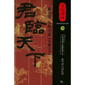 군림천하 30: 무당집회 편:4부 천하의 문  용대운 대하소설, 파피루스, 용대운 저