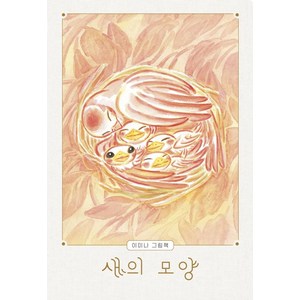 새의 모양:이미나 그림책, 보림, 새의 모양