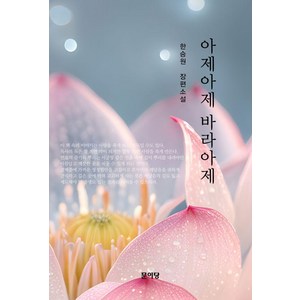 아제아제 바라아제, 문이당, 한승원