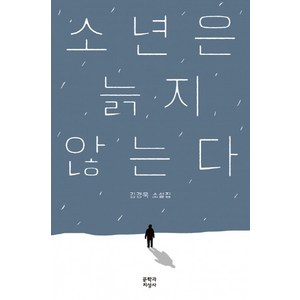 소년은 늙지 않는다:김경욱 소설집, 문학과지성사, 김경욱 저