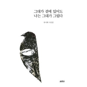 그대가 곁에 있어도 나는 그대가 그립다:류시화 시선집, 열림원, 류시화 저