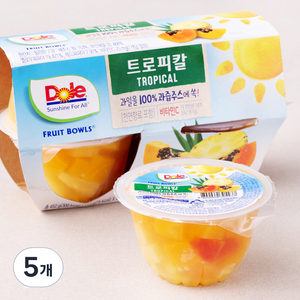 돌 후룻볼 트로피칼, 452g, 5개