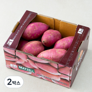 맛젤 꿀밤고구마, 3Kg(특대), 2박스