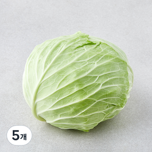 베트남산 양배추, 1.5kg, 5개, 1개입