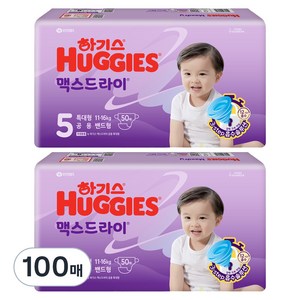 하기스 2024 맥스드라이 밴드형 기저귀 남여공용, 5단계, 100매