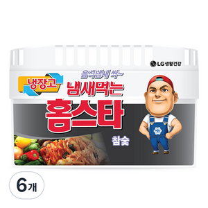 홈스타 냄새먹는 냉장고용 탈취제 참숯, 420g, 6개