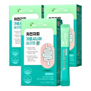 이너랩 차전자피 슬리밍 환 가르시니아, 110g, 3개