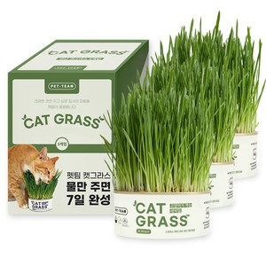 펫팀 고양이 캣그라스, 새싹밀, 200g, 3개