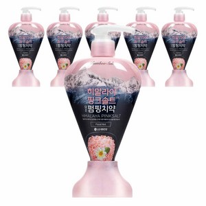 페리오 히말리야 핑크솔트 플로랄민트 펌핑치약, 285g, 6개