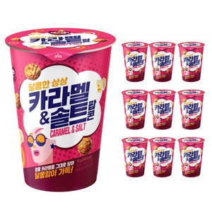 다르다팝콘 카라멜 앤 솔트, 70g, 10개