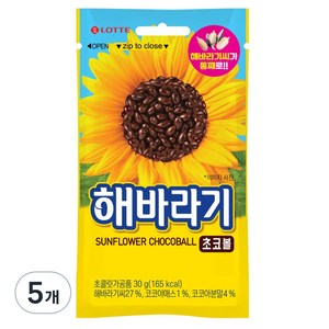 해바라기, 30g, 5개