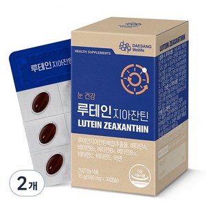 대상웰라이프 루테인지아잔틴 15g, 30정, 2개