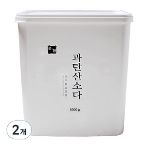 순담 과탄산소다 세정제, 5kg, 2개