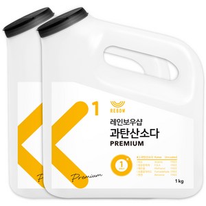 레인보우샵 과탄산소다 프리미엄 왕톡톡이, 1kg, 2개