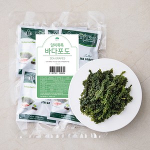 산골어부 알이톡톡 바다포도, 100g(5개입), 1개