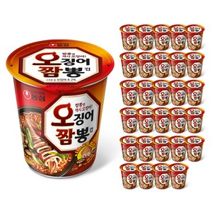 농심 오징어짬뽕 소컵 67g, 30개