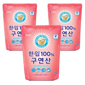 한입 100% 구연산, 1kg, 3개