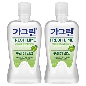 가그린 후레쉬 라임 구강청결제, 750ml, 2개