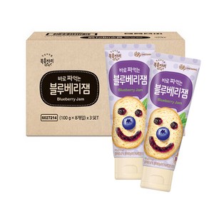 복음자리 바로 짜먹는 블루베리잼, 100g, 24개