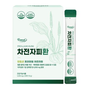 퍼니트 차전자피환 30p, 150g, 1개