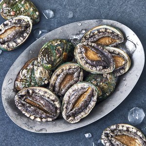 완도맘 활전복 (냉장), 1kg 내외(특, 11~12마리 내외), 1개