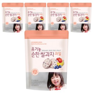 베베푸드 유기농 순한 쌀과자 25g, 과일, 5개