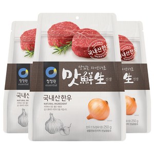 청정원 맛선생 한우 조미료, 250g, 3개