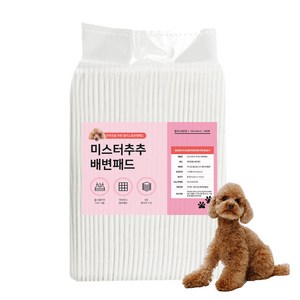 미스터추추 강아지 배변패드 플러스 20g, 100개입, 1개