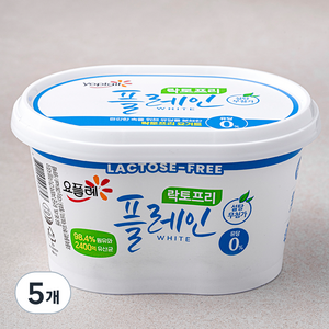 요플레 빙그레 플레인 화이트 락토프리, 430g, 5개