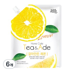 다미즐 갈아만든 레몬, 500g, 6개