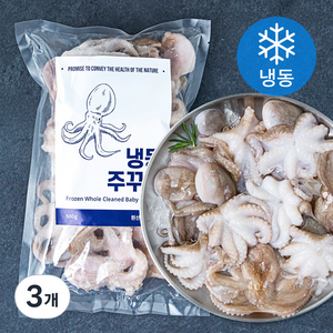 바이오션 주꾸미 (냉동), 500g(20~25마리), 3개