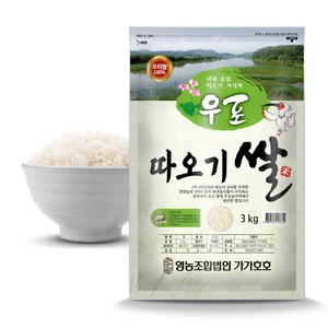 가가호호 2024년산 햅쌀 우포 따오기쌀 백미, 3kg, 1개