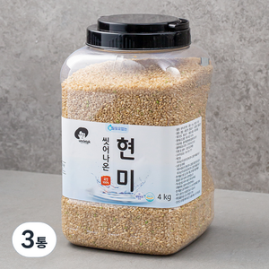 엉클탁 씻어나온 현미, 4kg, 3통