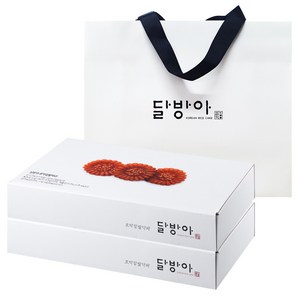 달방아 호박 찹쌀 약과 20p + 쇼핑백, 40g, 2박스