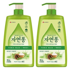 자연퐁 찌든때 걱정없는 솔잎 파워워시 주방세제 용기형, 980ml, 2개