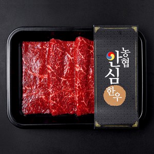 농협안심한우 보섭살 1등급 구이용 (냉장), 1개, 200g