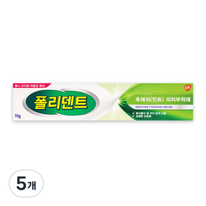 폴리덴트 후레쉬 민트 의치 부착재 70g, 1개입, 5개