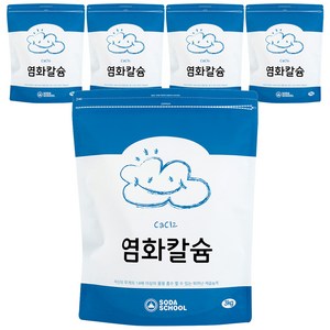 소다스쿨 염화칼슘 리필, 3kg, 5개