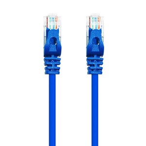 AVIVE 고급형 UTP 3m CAT6 랜선 케이블, BLUE, 2개