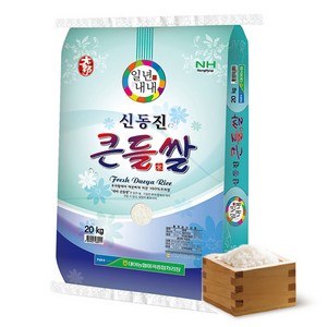 대야농협 2024년산 햅쌀 신동진 큰들쌀 상등급, 20kg, 1개