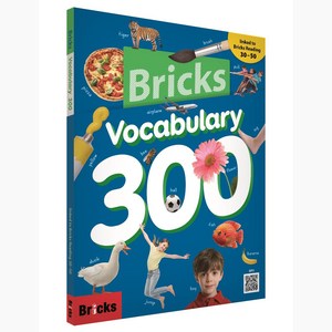 Bicks Vocabulay 300, 사회평론