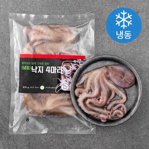 살맛나요 살아있는 상태 그대로 얼린 낙지 4미 (냉동), (4미)850g, 1팩