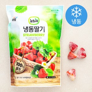 뉴뜨레 이집트산 딸기 홀 (냉동), 1kg, 1개