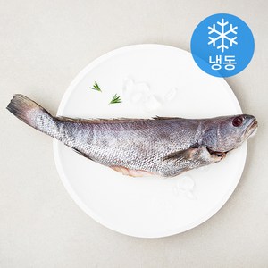 어부네생선가게 국산 손질통민어 (냉동), 500g, 1개