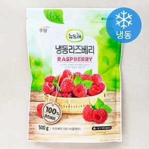 뉴뜨레 냉동라즈베리 (냉동), 500g, 1개