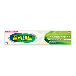 폴리덴트 후레쉬 민트 의치 부착재 70g, 1개입, 1개