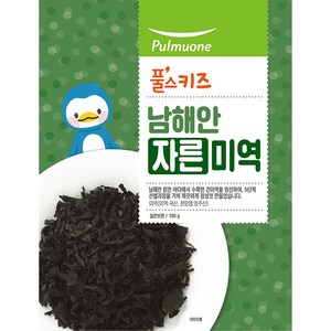 풀스키즈 남해안 자른미역, 100g, 1개